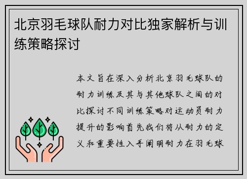 北京羽毛球队耐力对比独家解析与训练策略探讨